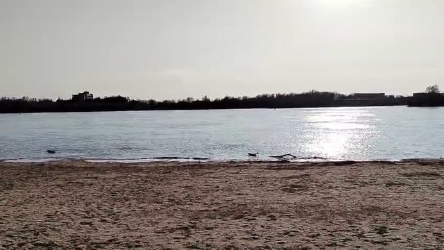 ОМСК. ИРТЫШ. АПРЕЛЬ 2025. смотреть онлайн