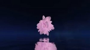 22-04-2025 Твои здоровые колени. Матрица Гаряева.