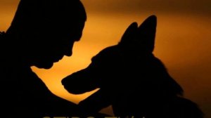 рэп про жизнь