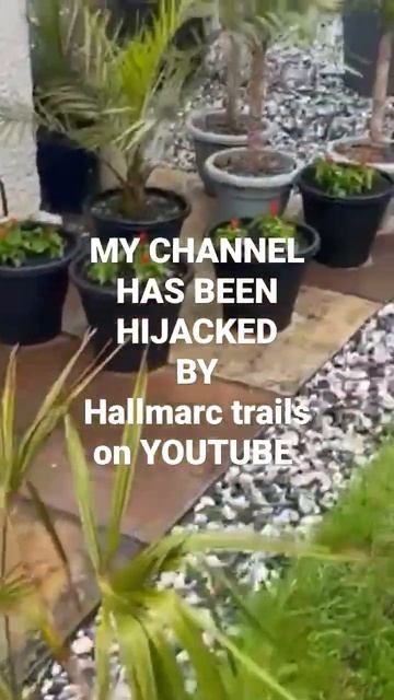 MY CHANNEL HAS BEEN HIJACKED By Hallmarc Trails On YOUTUBE