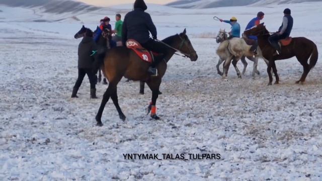 ЖЕР УЛАК-2022 / ЧУЙ - ТАЛАС смотреть онлайн