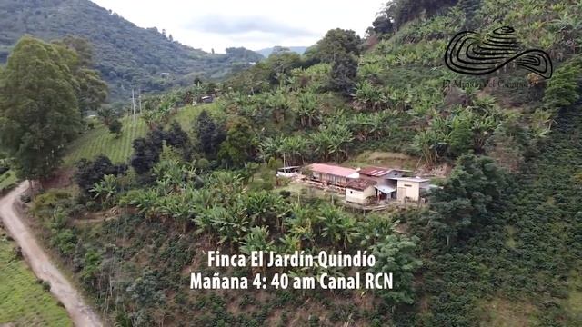 Invitación Finca Cafetera El Jardín, Génova Quindío смотреть онлайн
