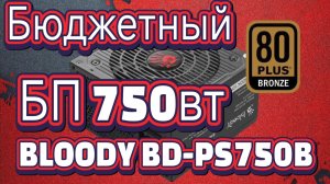 Бюджетный игровой блок питания 750ватт. BLOODY BD-PS750B. Дёшево и сердито!