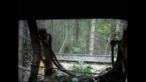 Бульдозер в лесу работает