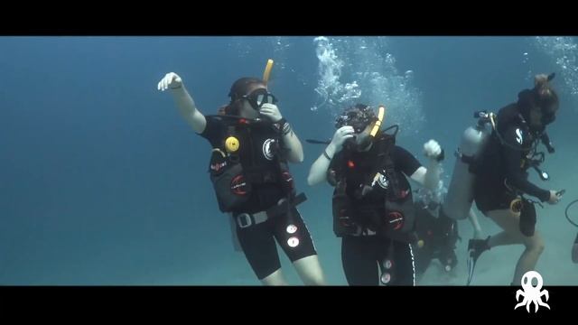 Getting My SCUBA Open Water Certification at Roctopus in Koh Tao, Thailand! смотреть онлайн