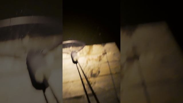 Безумное открытие по карпу на Белом лтсе 25 смотреть онлайн