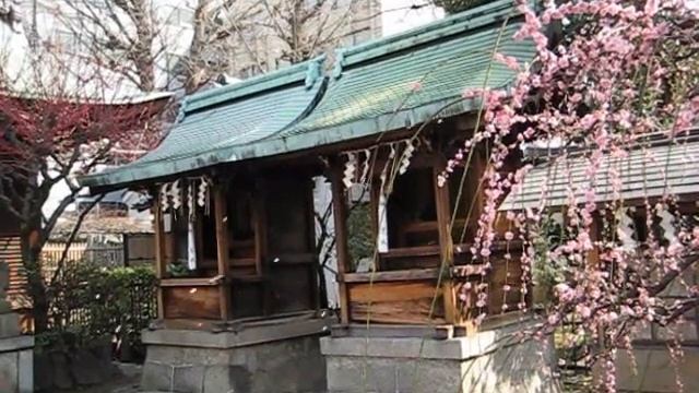 Plum Blossoms In Kyoto, Koto Music