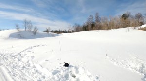 Рыбалка на реке. Погоня за трофеем. Часть первая. 19.04.2025