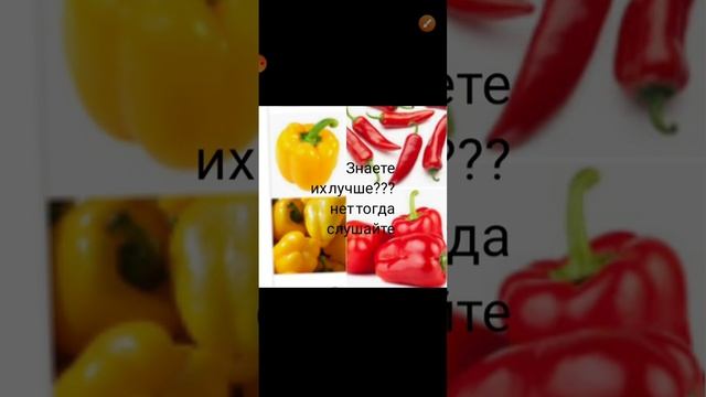 Красный и жёлтый перец смотреть онлайн