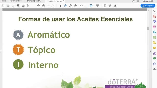 Openbox DoTerra смотреть онлайн