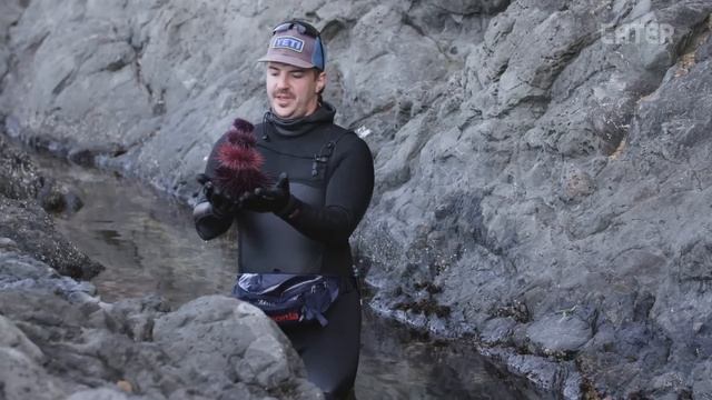 Harvesting Purple Sea Urchin (Uni) on the Oregon Coast – Deep Dive смотреть онлайн