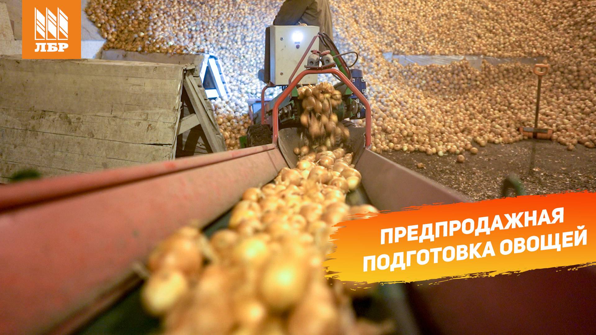 Работа складского оборудования в овощном хозяйстве.На сколько повысилась производительность склада? смотреть онлайн