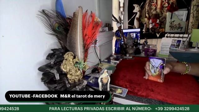 TAROCCHI||🎴lecturas de tarot sin miedo respuesta a tus preguntas candentes #tarot #M&Reltarotdemery смотреть онлайн