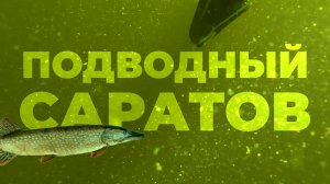 Здесь есть почти ЛЮБАЯ РЫБА! Теплые воспоминания с ПОДВОДНОЙ ОХОТЫ в Саратове