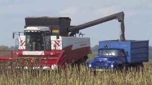Уборка подсолнечника 2016 года Acros 550.