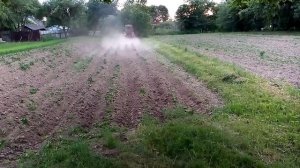 Трактор Т-25 прополка картофеля «ежиками»/ T-25 weeding potatoes /обробка іжаками