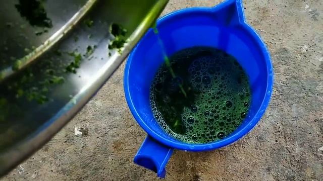 കീടങ്ങളെ തുരത്താൻ ഒരു അടിപൊളി മരുന്ന്|keedangale thurathan|krishi videos malayalam|malayalam garden смотреть онлайн