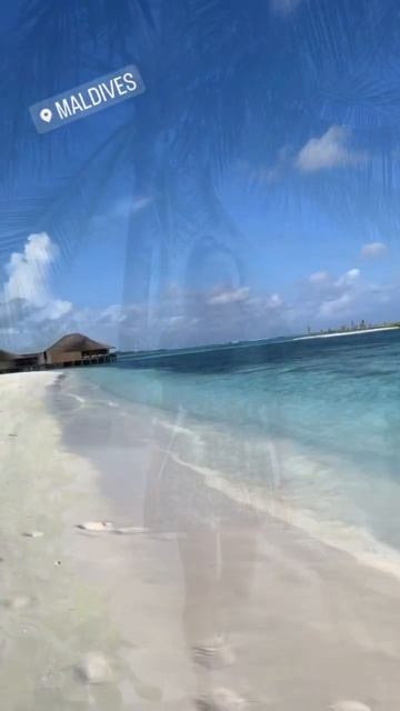 🌴✌️Алина Загитова на отдыхе // Мальдивы смотреть онлайн
