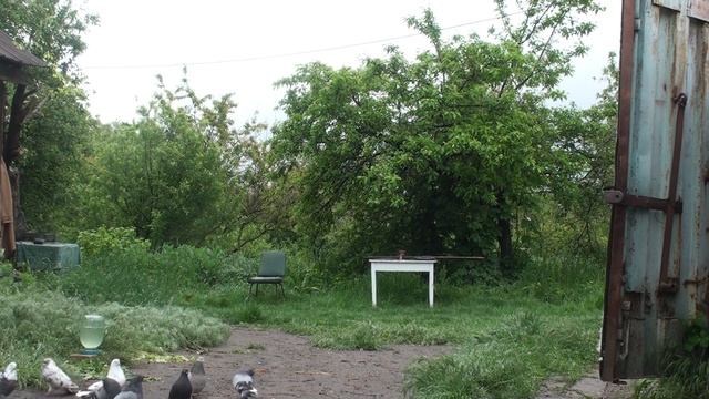 На Привольнянский голубедром голубей не принимаю,отбой.26.05.20. смотреть онлайн