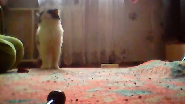 2 час уборка и бой флоры 2 смотреть онлайн