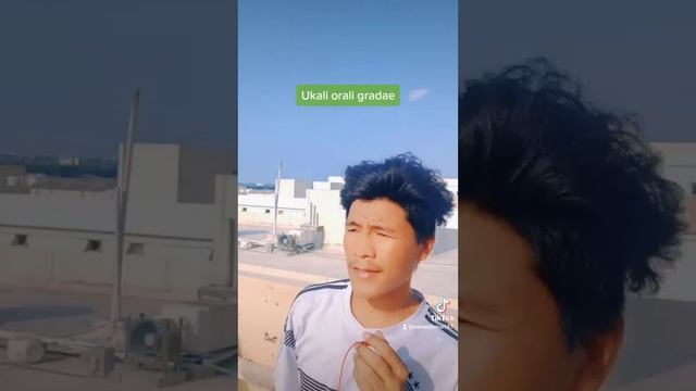 Ukali orali gardae cover by sonam lama . смотреть онлайн