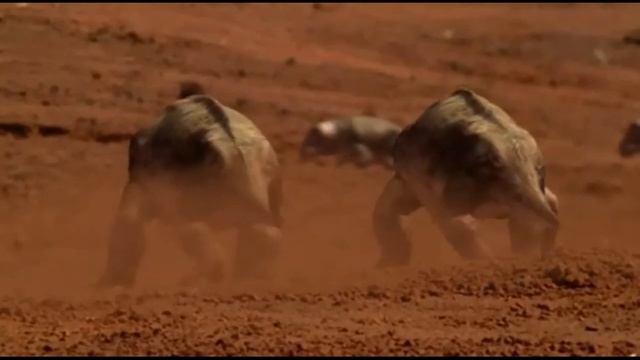 Початок нової ери тріасовий період 3 нових тварини Целофізіс,плацеріас,постозух. смотреть онлайн