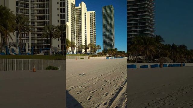 Майами Флорида 10 января 2023 смотреть онлайн