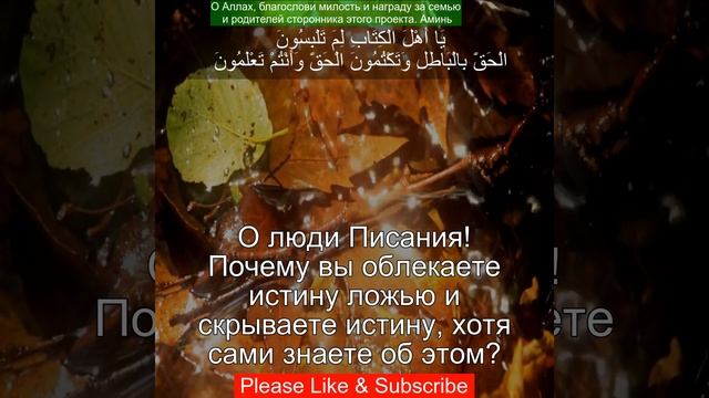 Коран Сура Аль Имран | 3:71 | Чтение Корана с русским переводом | Quran Translation in Russian смотреть онлайн