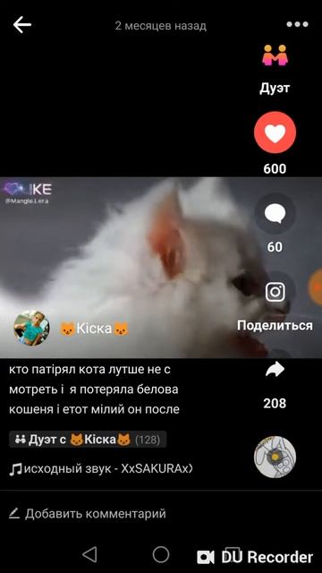 Как мило кто потерял кота лучше не смоьреть смотреть онлайн