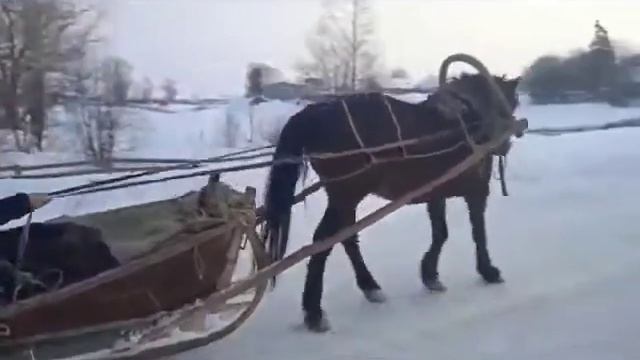 МОБУ СОШ с. Сейтяково смотреть онлайн