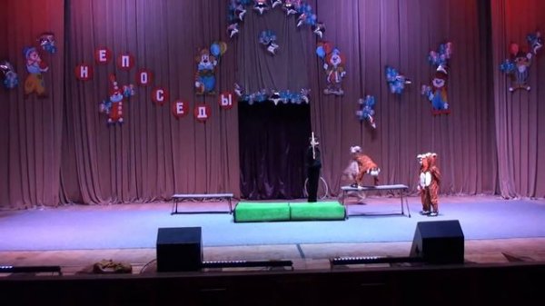 Отчётный концерт 2018 номер Укротитель Тигров