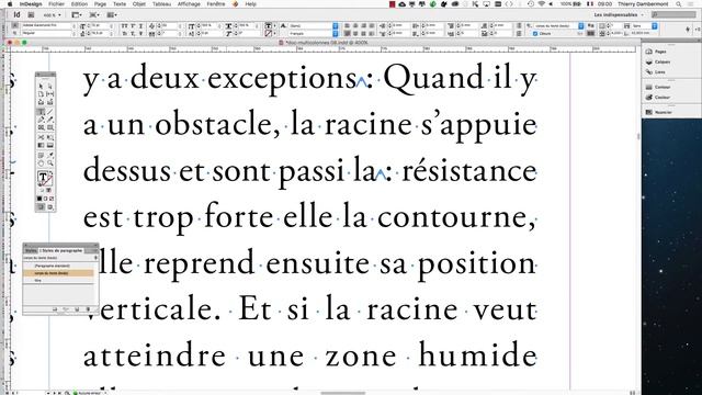 part 2 SESSION 3 l'utilisation pro d'Adobe InDesign смотреть онлайн