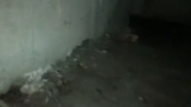 Спустились в школьный подвал / прошли комнаты смотреть онлайн