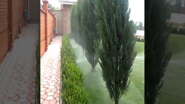 Автоматический полив растений.mp4 смотреть онлайн