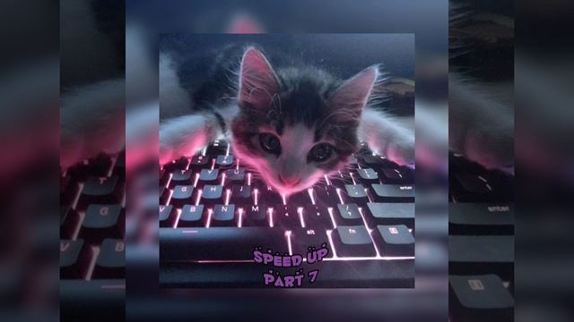 Speed Up Part 7 смотреть онлайн