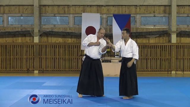 13 Aikido Gyaku Hanmi Shihonage Shishiya Sensei, Horice 2016
