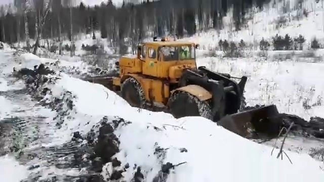Кировец ровняет лесную дорогу смотреть онлайн