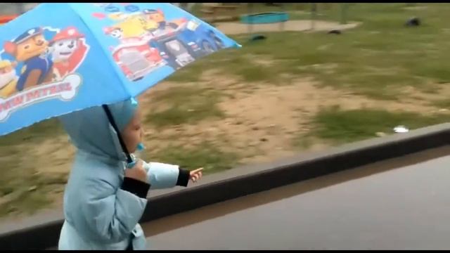 Подсолнухи у нас дома! Свежие СЕМЕЧКИ! смотреть онлайн