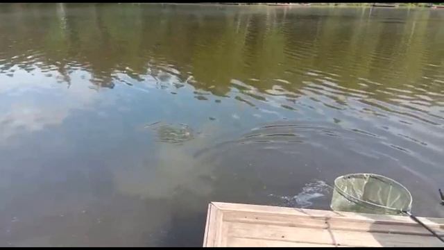 РК МАРЛИН смотреть онлайн