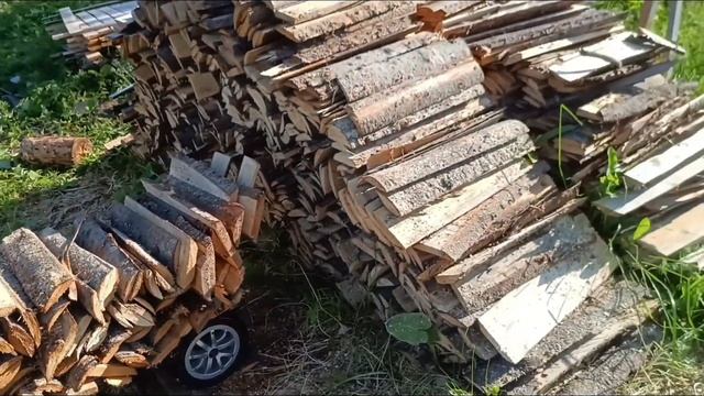 Неожиданная встреча со змеёй-ужом смотреть онлайн