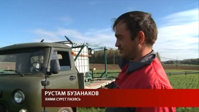 Туэ сӥзьыл шаерамы 100 сюрс гектар муос кын улэ киземын. УЧКОНО смотреть онлайн