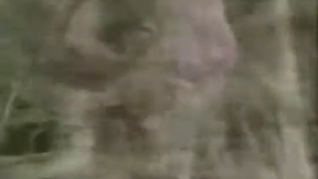 Christian Dior Poison Perfume 1980's Commercial - FragranZZ.com