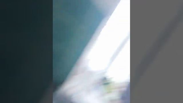 Варёная картошка и салат