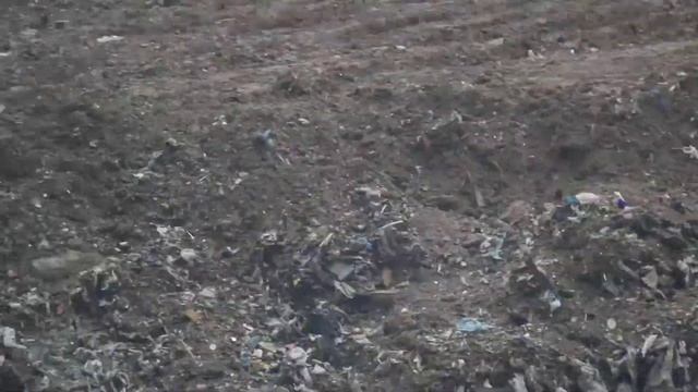 Чем рекультивируют песчаный карьер у эстакады г. Электроугли, часть 2 - 21.04.2018 смотреть онлайн