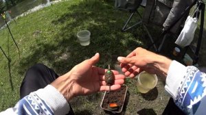 КАРП на ФЛЭТ фидер. Ловля карпа на поп ап. Рыбалка карповая