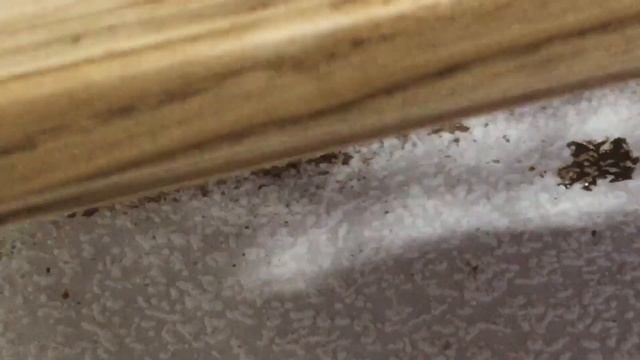 Мебельный фасад под Масло. Для своей коллекции смотреть онлайн