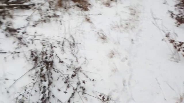 Лерка. Декабрь 2018 смотреть онлайн