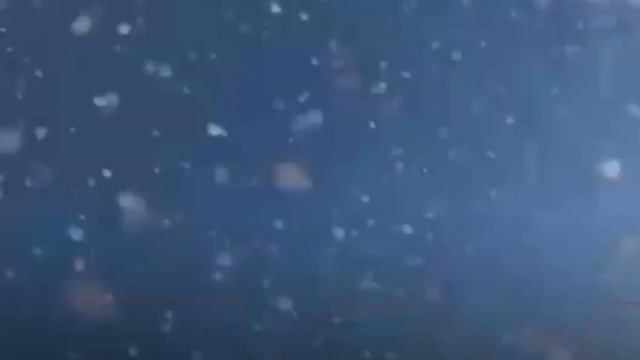 Turista filmou queda de tirolesa que o levou à morte em Canoa Quebrada смотреть онлайн