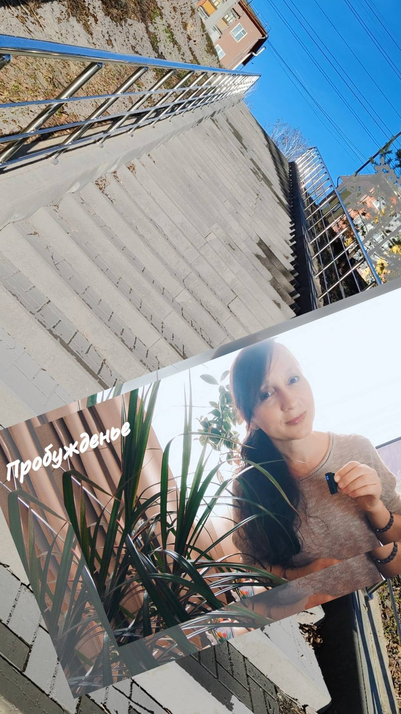 От кого нет нигде покоя?.. #shorts смотреть онлайн