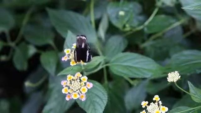 Taylor S. Kennedy смотреть онлайн